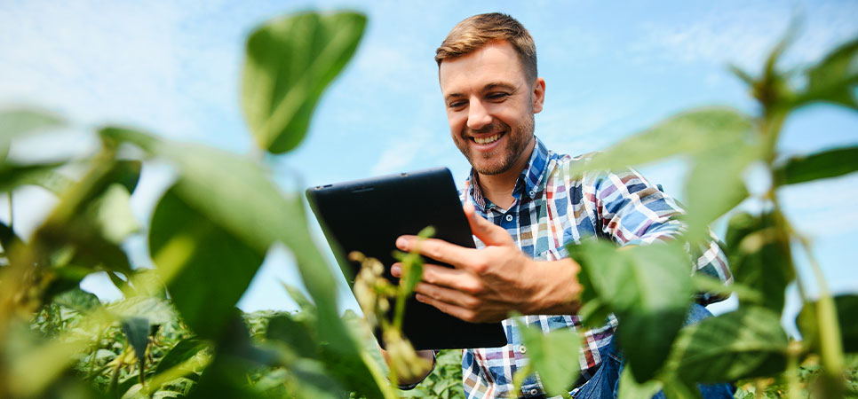 Interface de software agrícola SSCrop exibindo dados de produção rural, integrando gestão de lavoura, clima e finanças