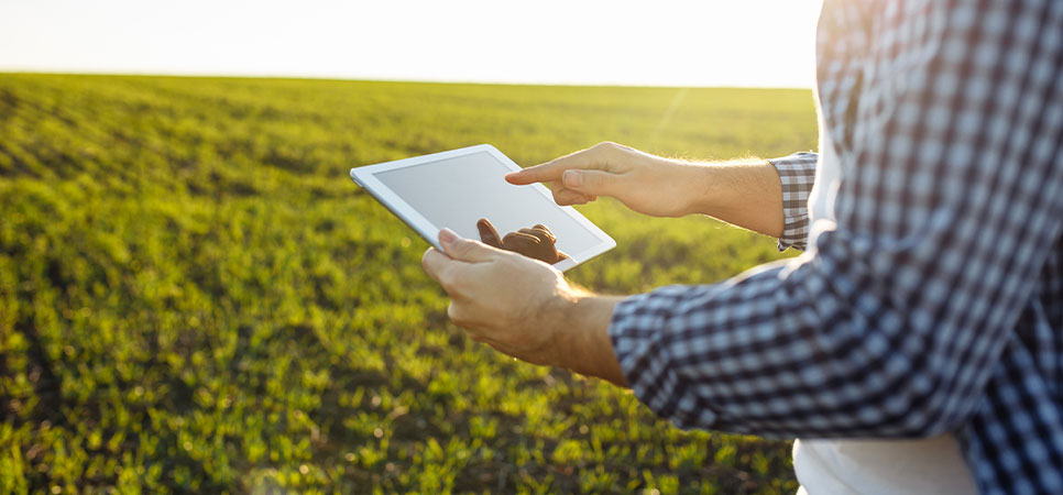 Produtor rural utilizando tablet em lavoura de soja ao pôr do sol, monitorando dados para identificar gargalos operacionais