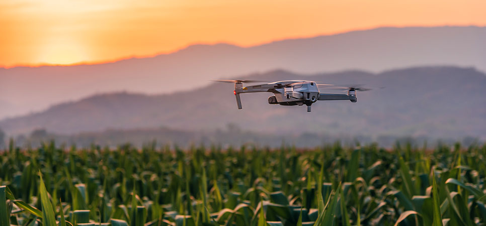 Drone sobrevoando lavoura, revolucionando o monitoramento agrícola com soluções tecnológicas de alta precisão no campo.