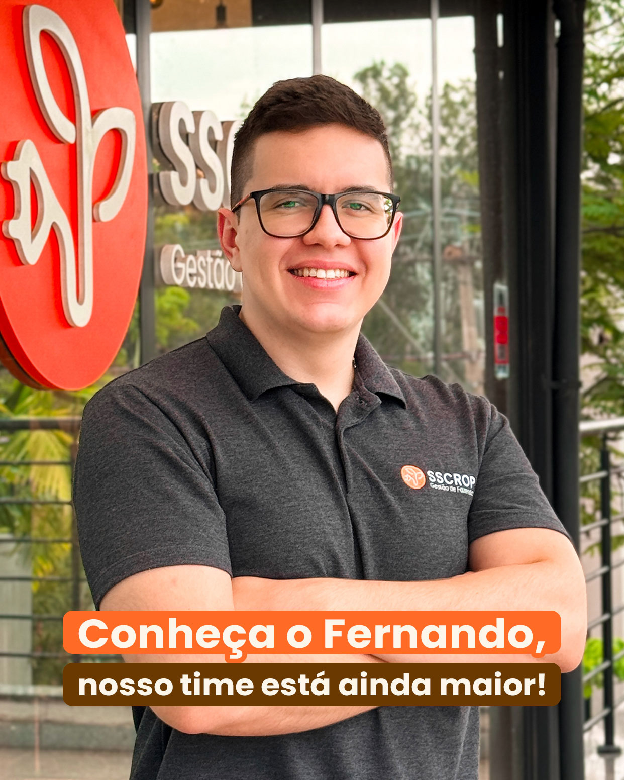 Fernando, vendas
