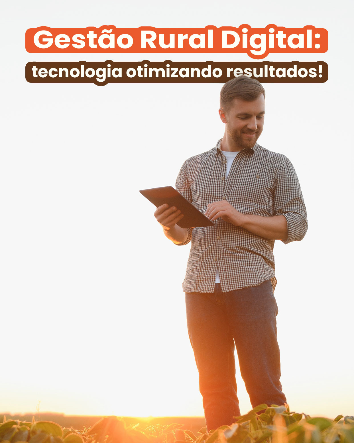 Conciliação automatizada, seu financeiro no piloto automatico